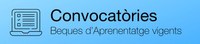 banner convocatories.jpg